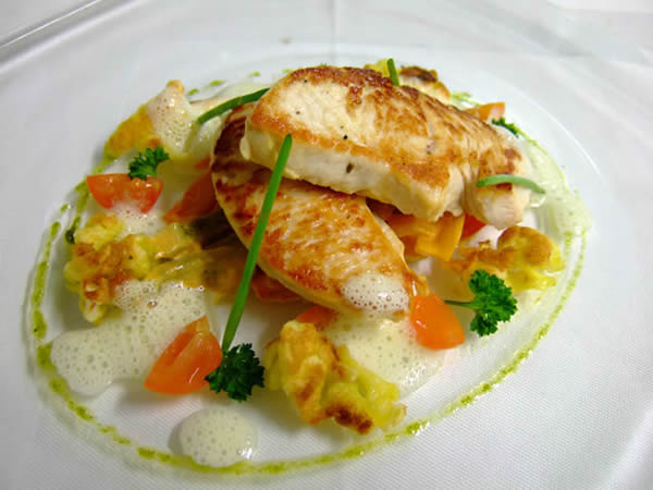 turkey-scallop-with-brie-and-liberte-yogurt